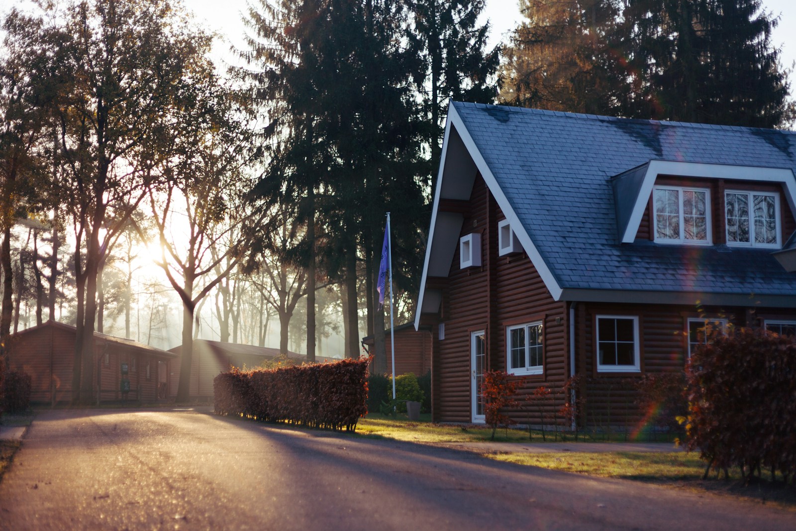 A welcoming home framed by leafy trees